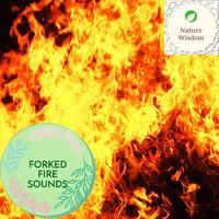 Forked Fire Sounds