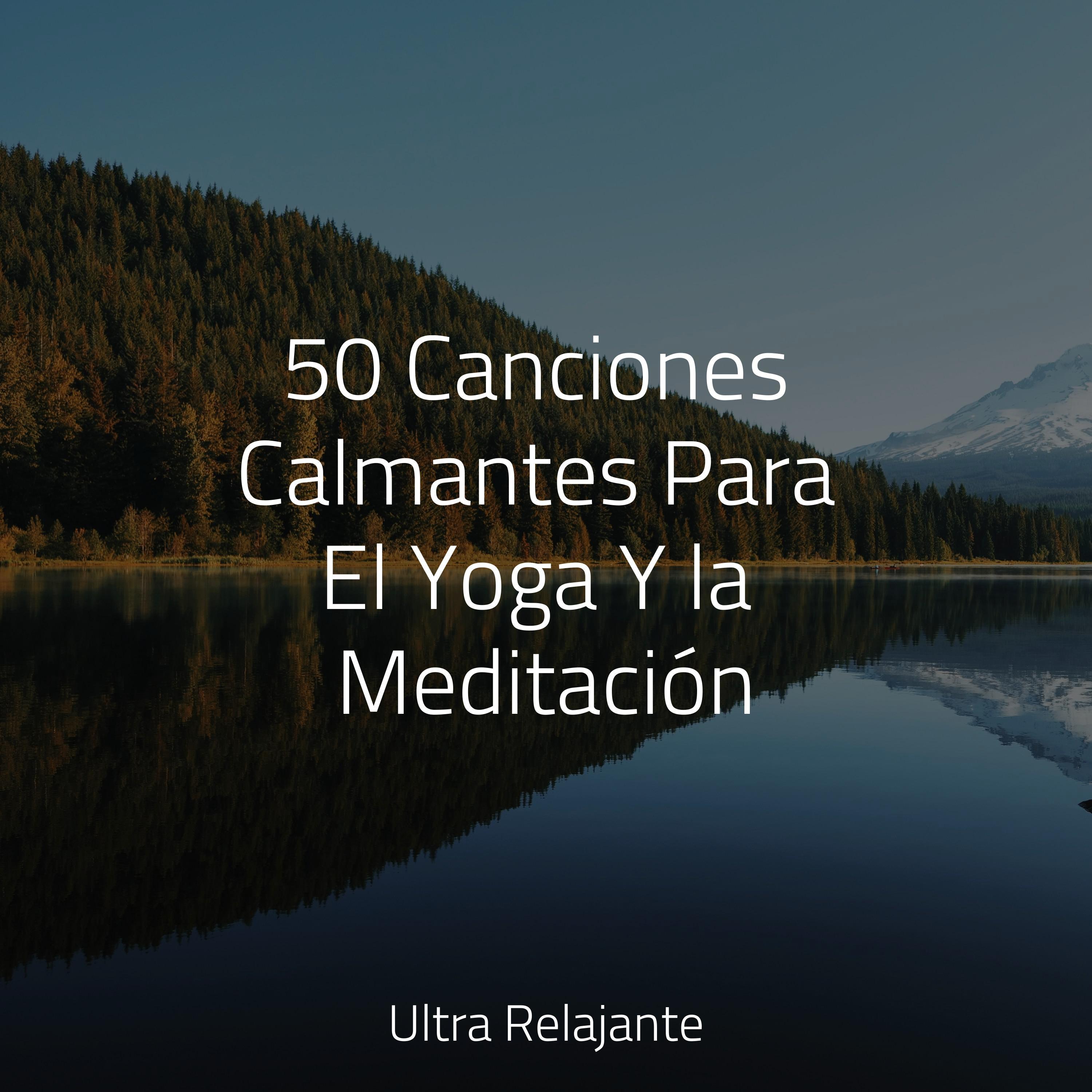musica relax meditacion y sanacion
