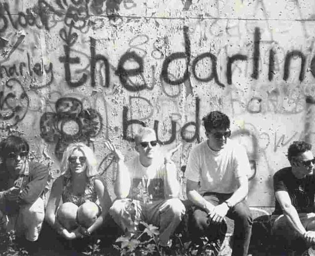 The Darling Buds