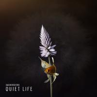 Quiet Life