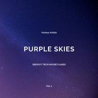 Purple Skies (Groovy Tech House Flakes), Vol. 1