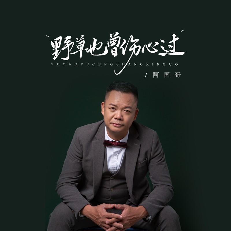 野草也曾伤心过 (DJ京仔粤语金曲)封面