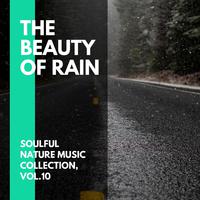 The Beauty of Rain - Soulful Nature Music Collection, Vol.10