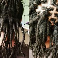 Dread Head