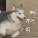 君澜