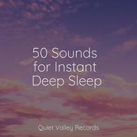 50 Sounds for Instant Deep Sleep For Dogs