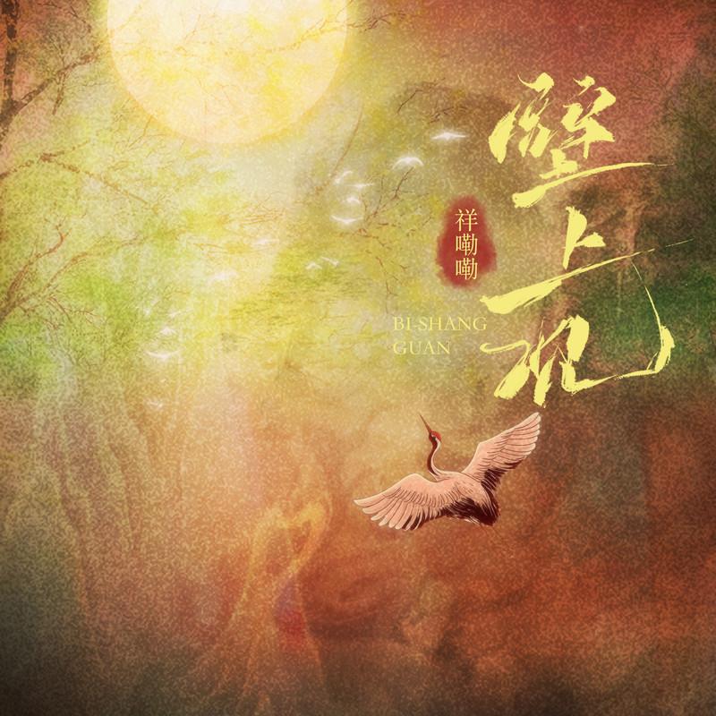 壁上观 (DJ阿卓版伴奏)封面