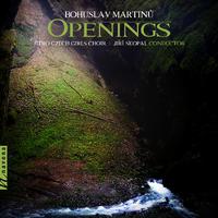 Openings