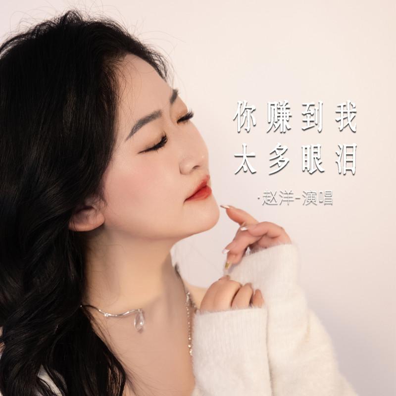 你赚到我太多眼泪 (Live合唱版)封面