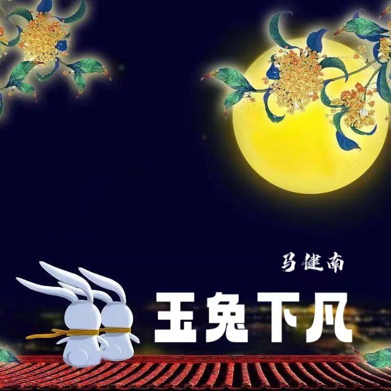 玉兔下凡封面