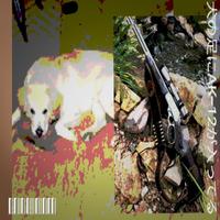 ak12upinmypaw