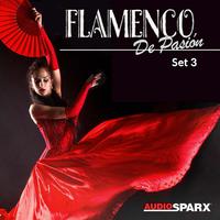 Flamenco de Pasión, Set 3