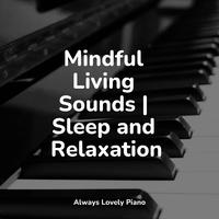 Smart Baby Academy - Magical Streams