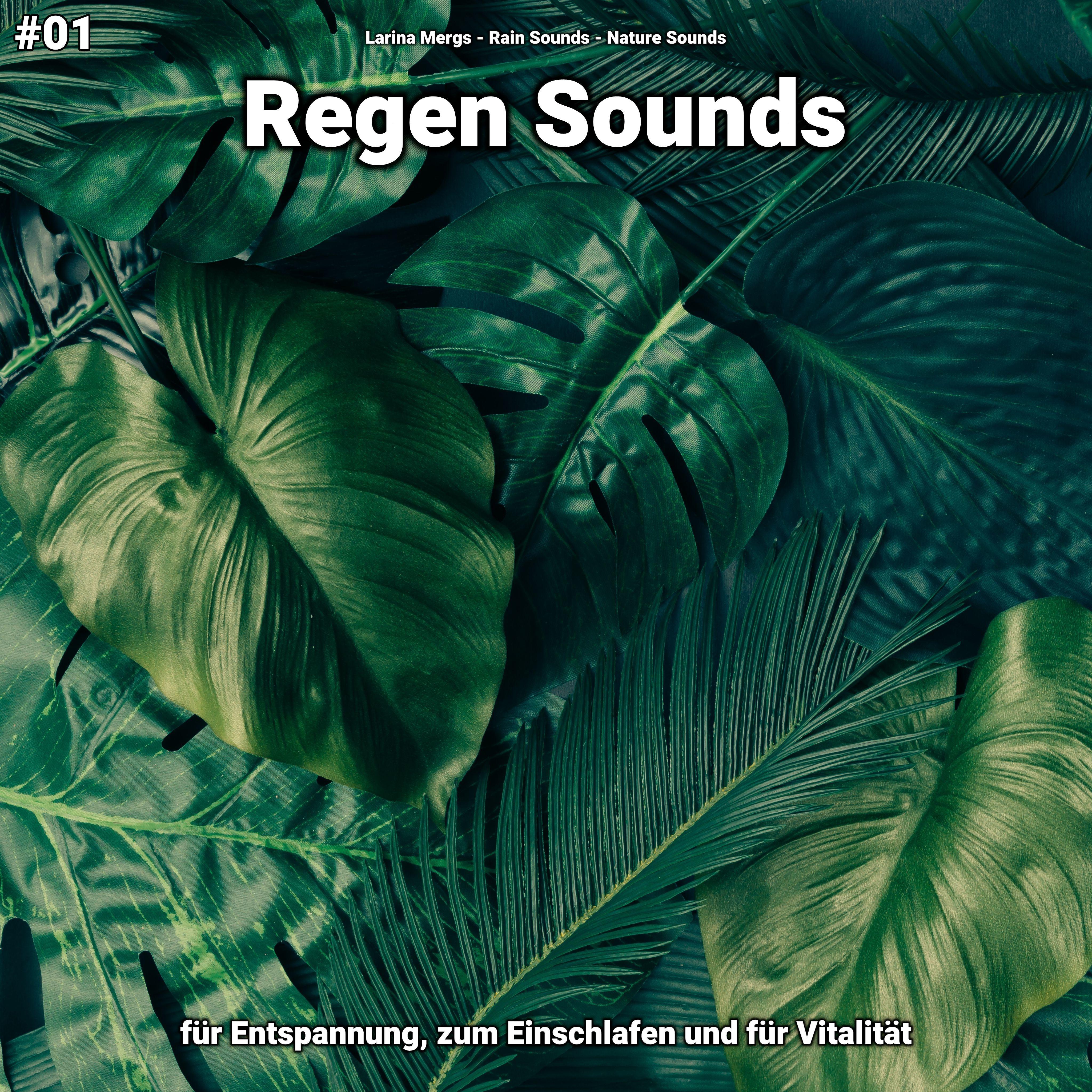 Regen Sounds, pt. 69