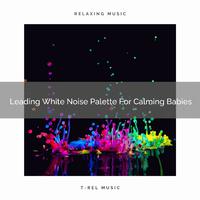 Leading White Noise Palette For Calming Babies