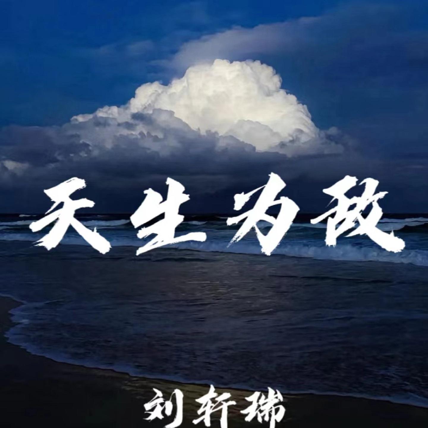 天生为敌 (伴奏)封面