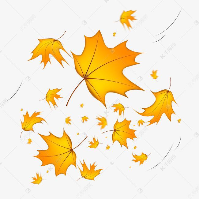 DOGGYE-秋天的风remix（榆木Yuyo / DOGGYE remix）