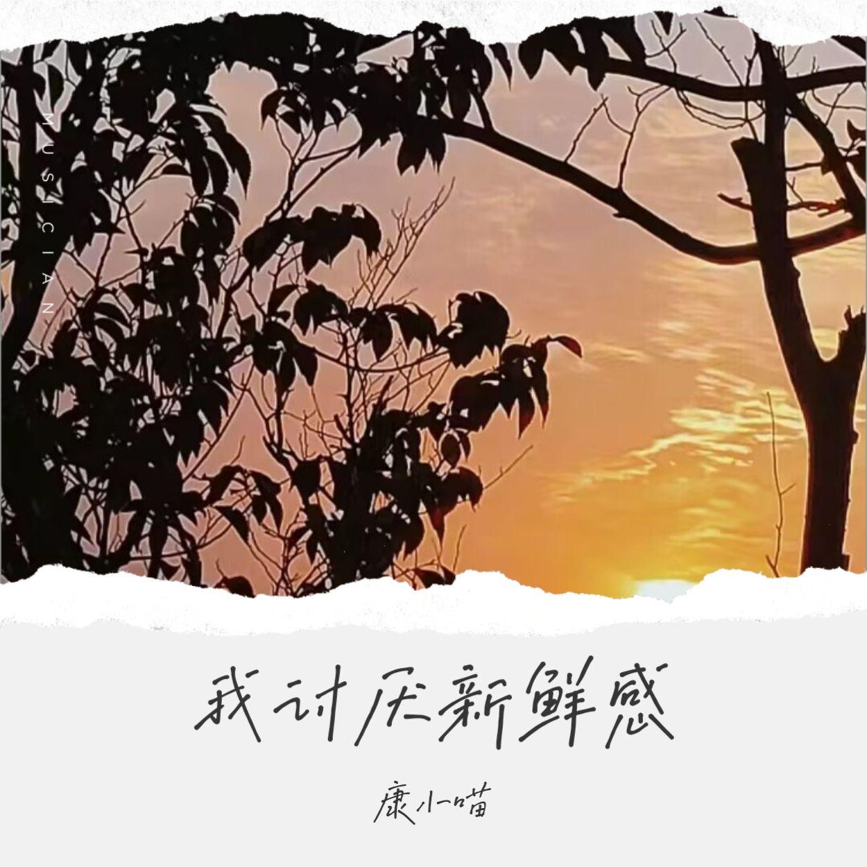 我讨厌新鲜感封面