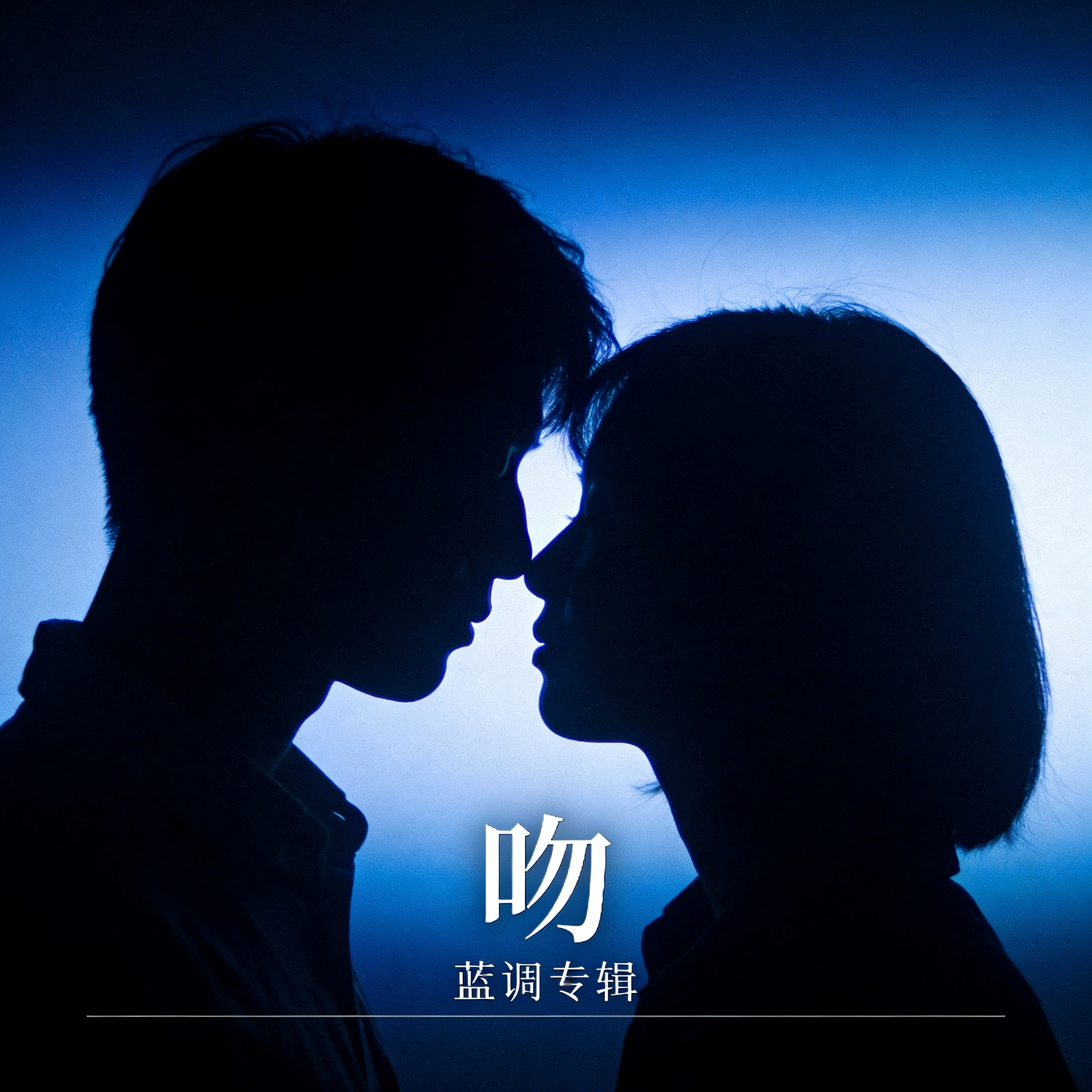 你的影子封面