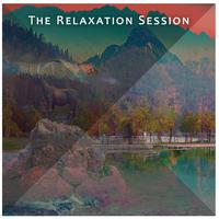 The Relaxation Session: Peaceful Nature Sounds, Relaxing Frequencies, Zen Instrumental Music