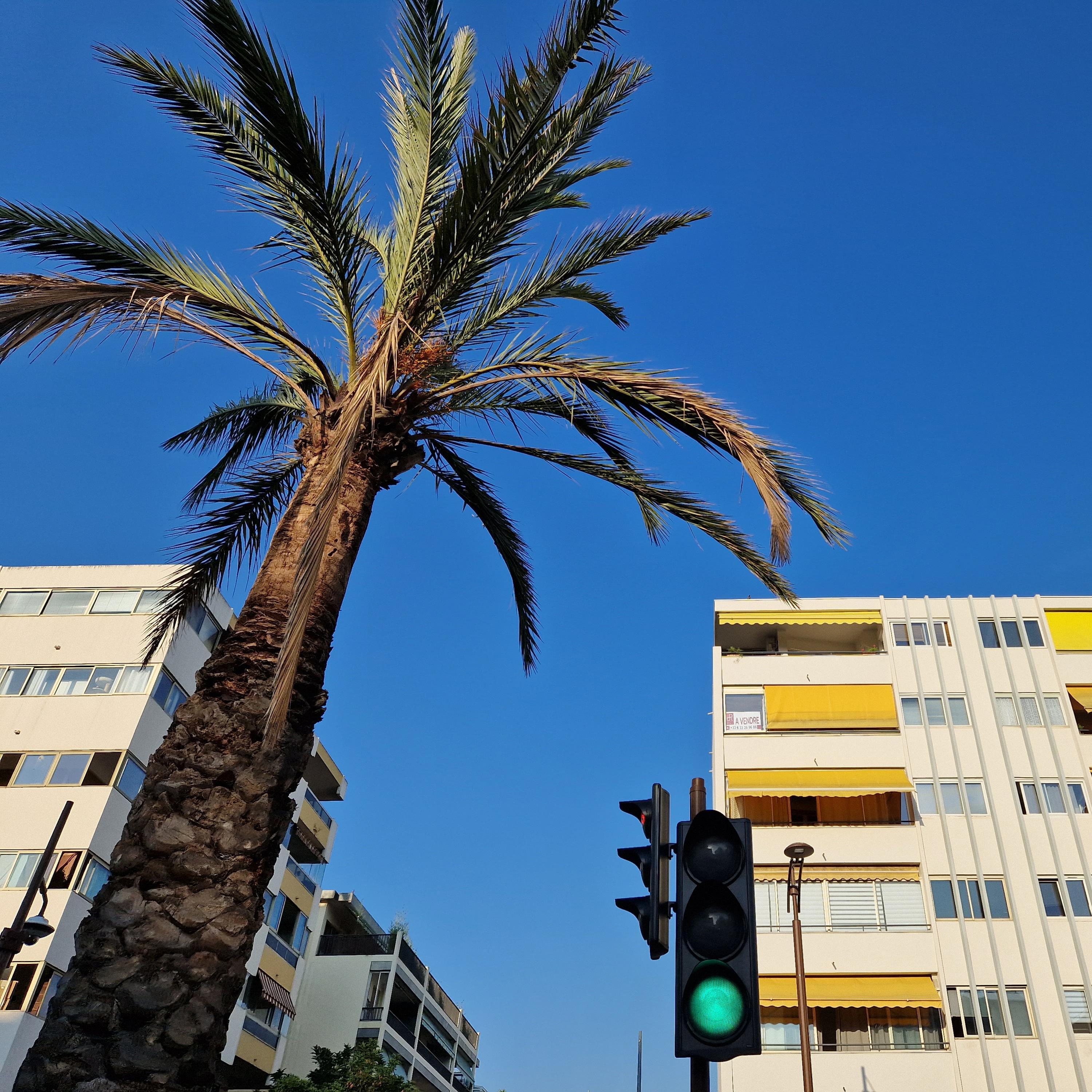 Ma Belle (feat. Le Rick)