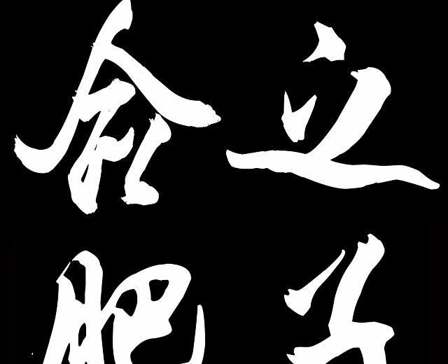 合肥之子