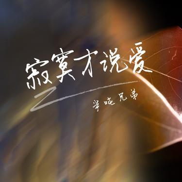 寂寞才说爱 (DJheap九天MMO)封面