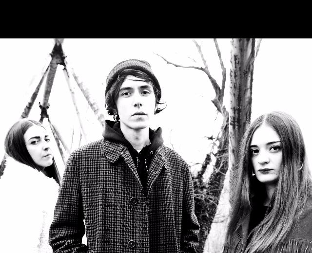 Be Forest