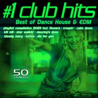 #1 Club Hits 2023 (Best of Dance, House & EDM Playlist Compilation)