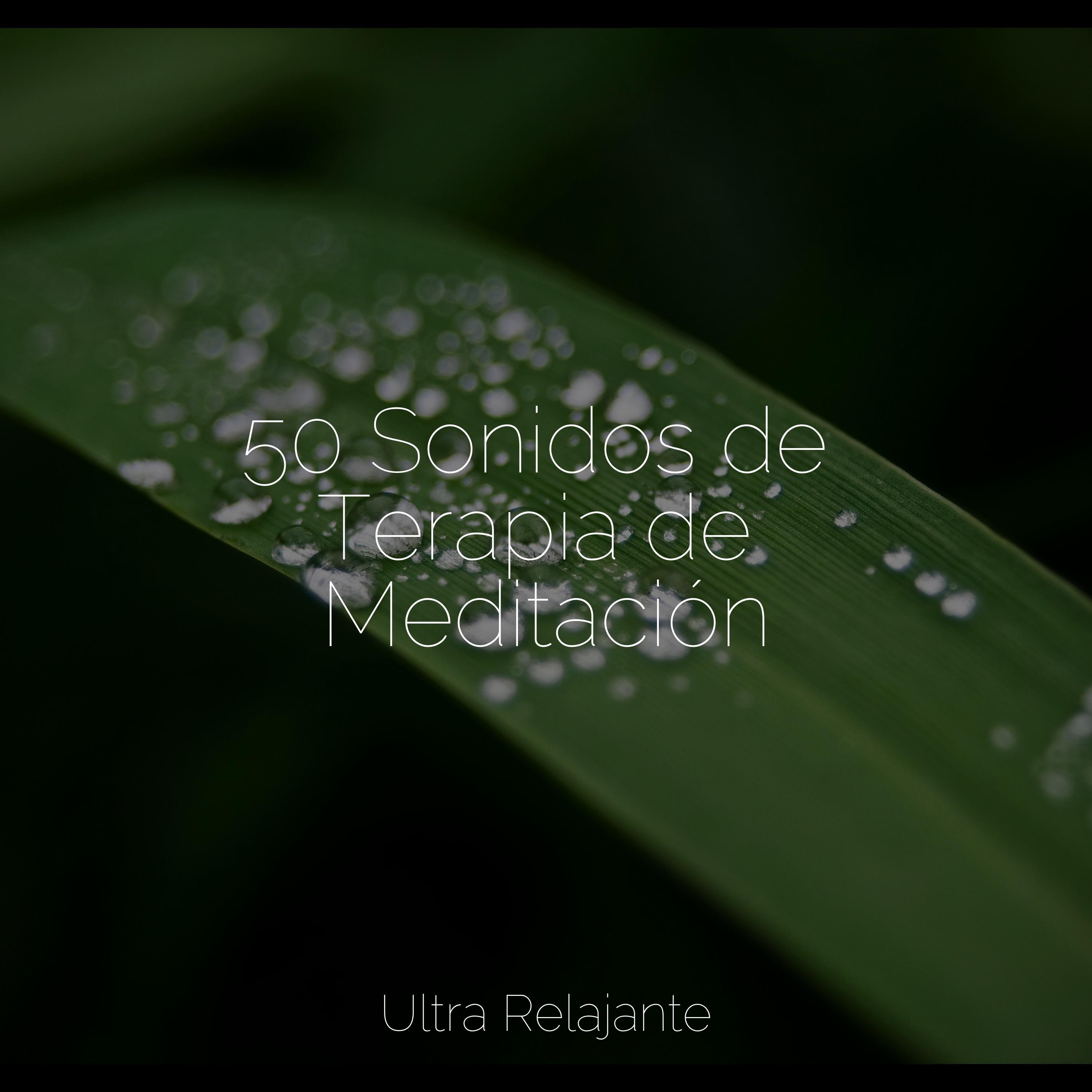 musica relax mantra