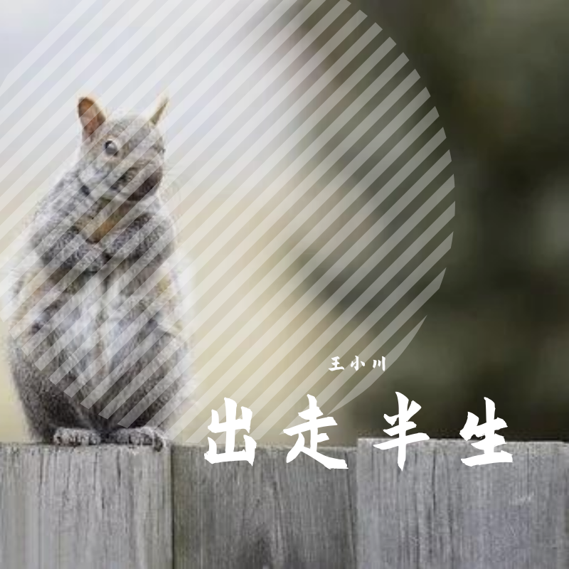 关于我们你遗憾吗封面
