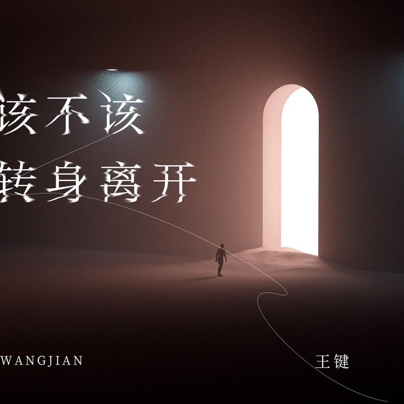 该不该转身离开 (DJ九零版)封面