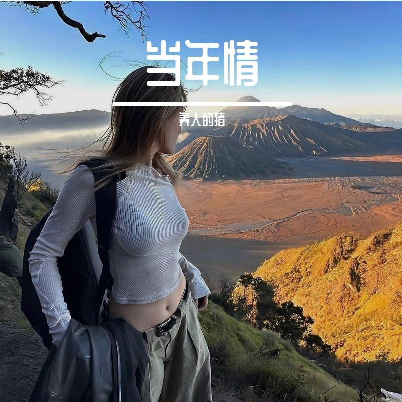 皓月当空 伴奏封面
