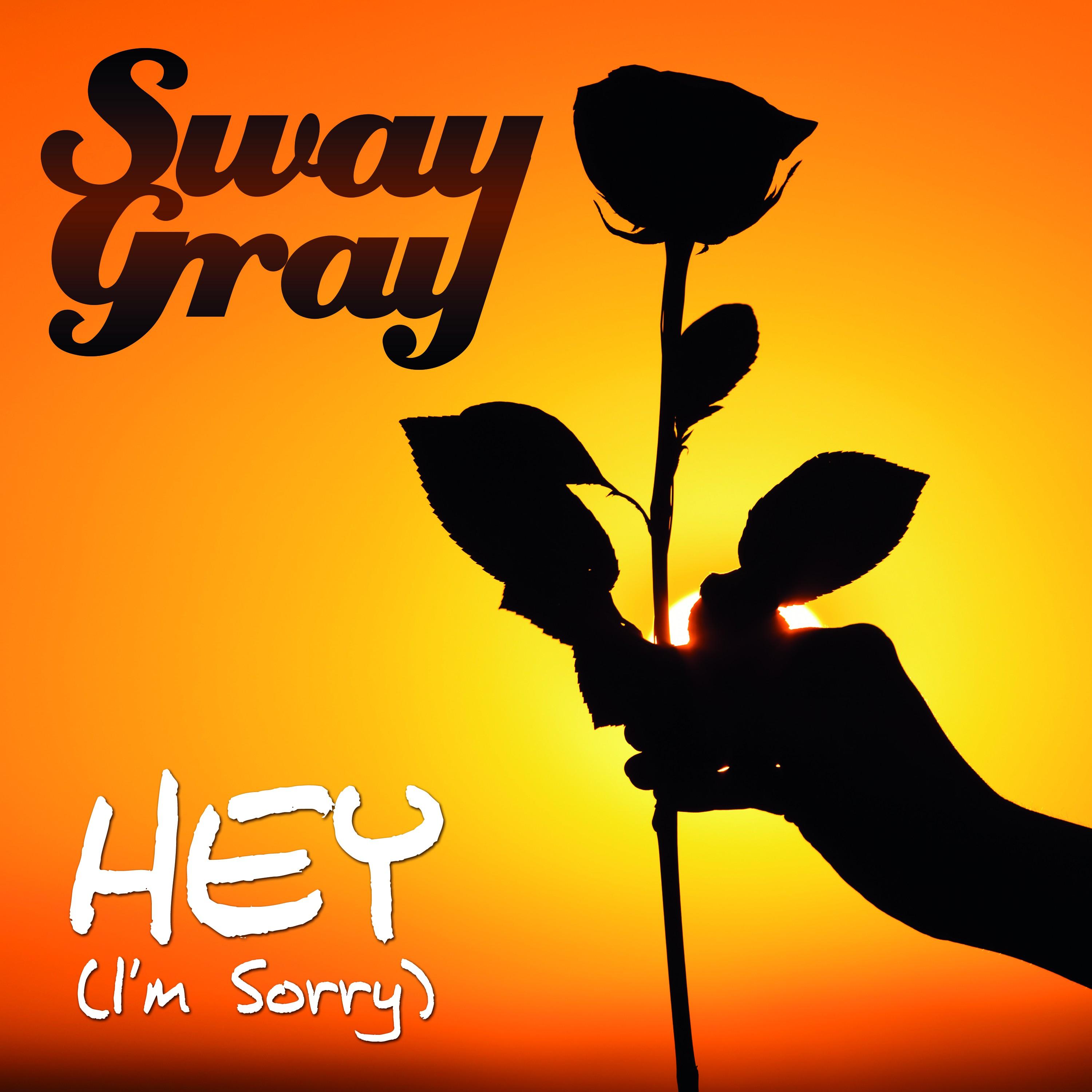 Hey (I'm Sorry) (Video Edit)