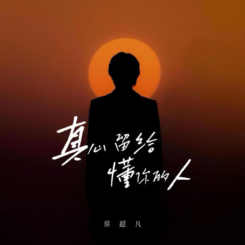 真心留给懂你的人封面