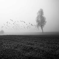 Este Valle Solitario (feat. SiSi)