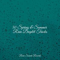 50 Spring & Summer Rain Droplet Tracks