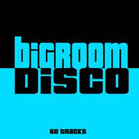 Bigroom Disco - 60 Tracks