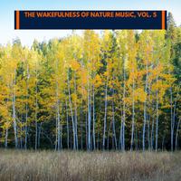 The Wakefulness of Nature Music, Vol. 5