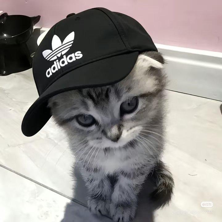 走马灯封面