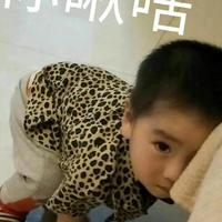 双资料,双最新歌曲,双MV视频,双音乐专辑,双好听的歌