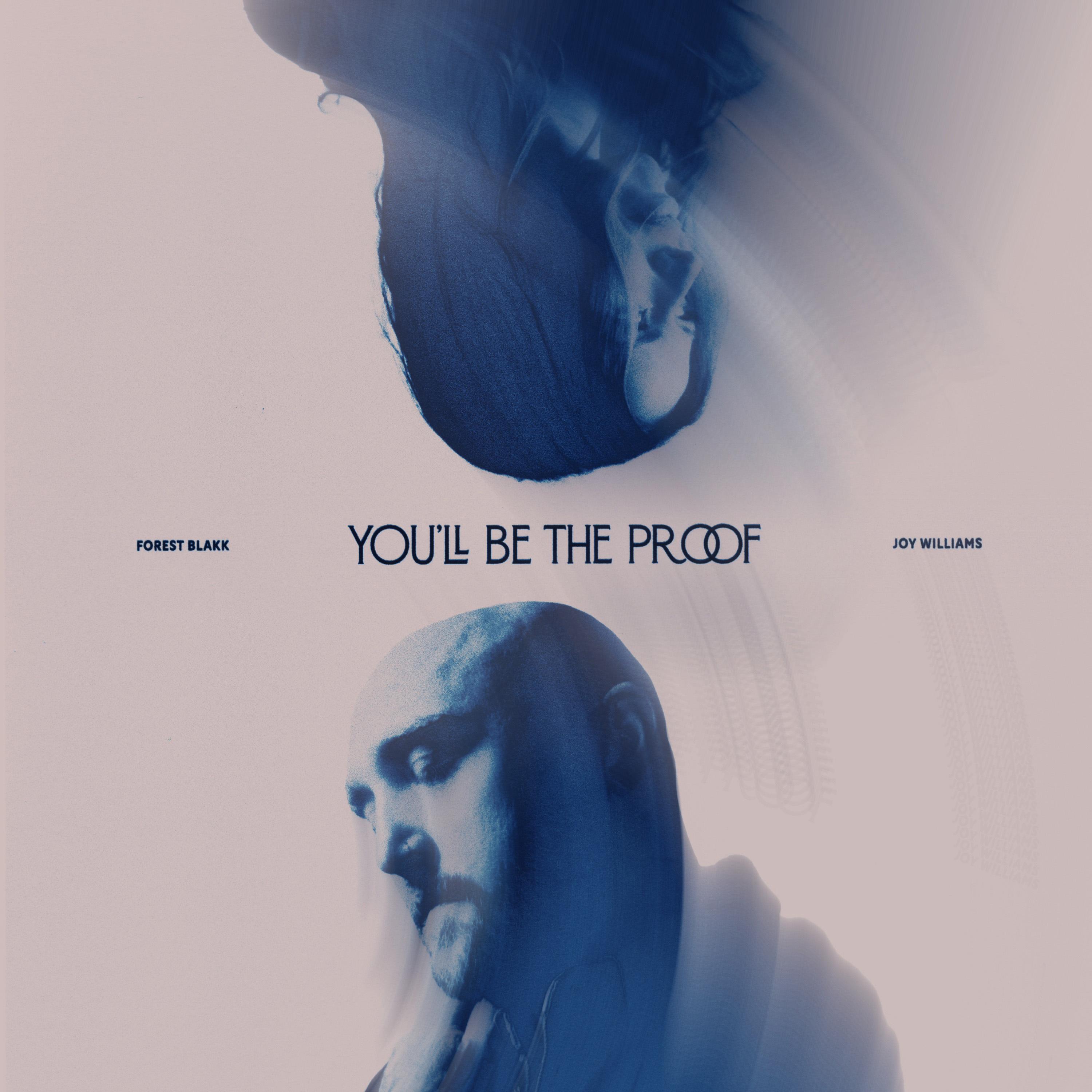 You’ll Be The Proof (feat. Joy Williams)
