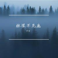 林深不见鹿