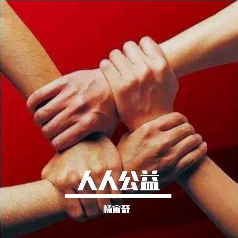 志愿者之歌 - 杨宙奇封面