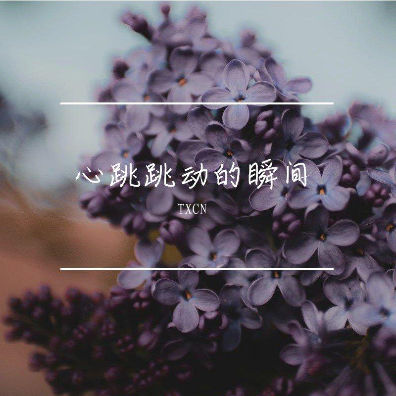 心跳跳动的瞬间封面