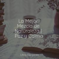 La Mejor Mezcla de Naturaleza | Paz y Calma