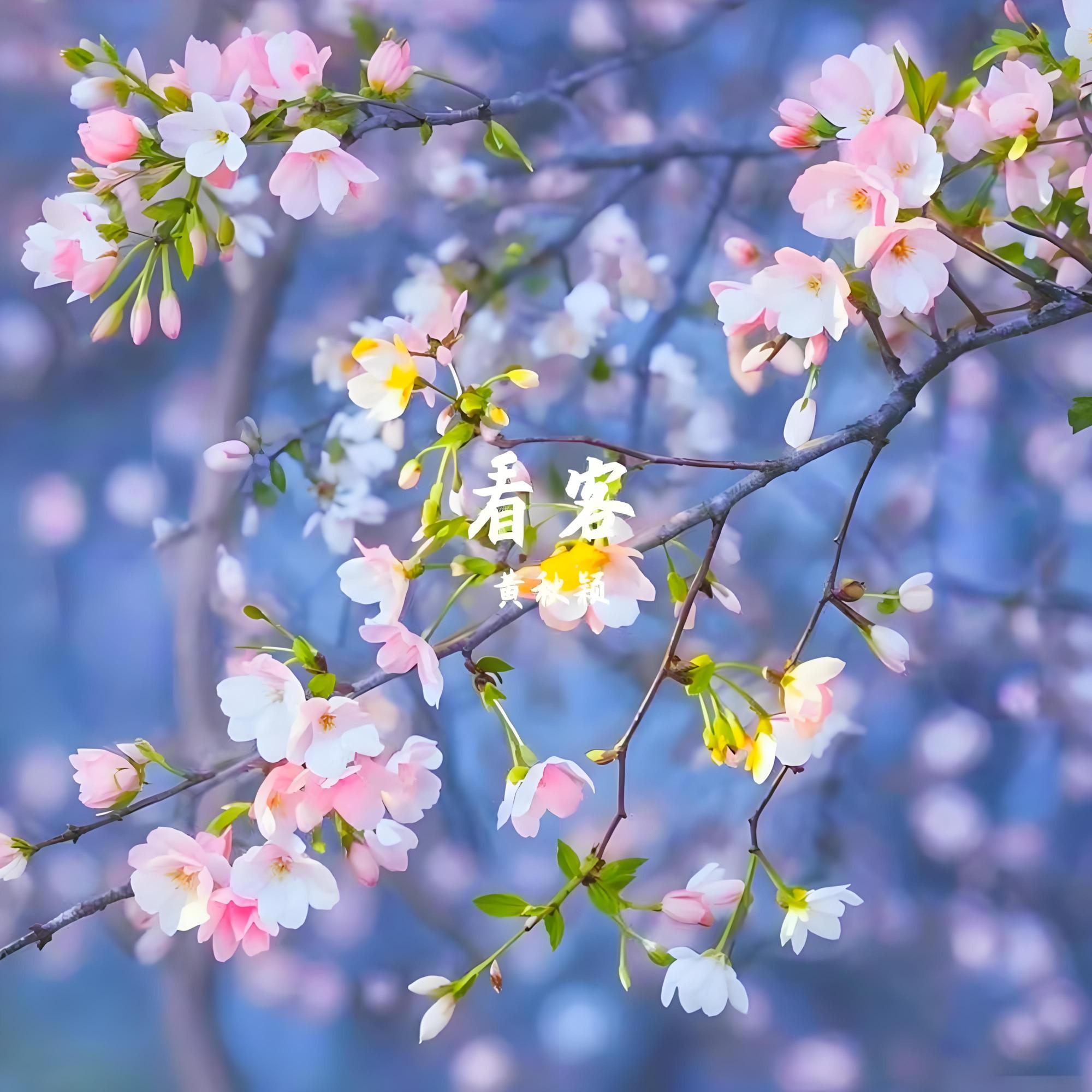 茧成蝶(伴奏)封面