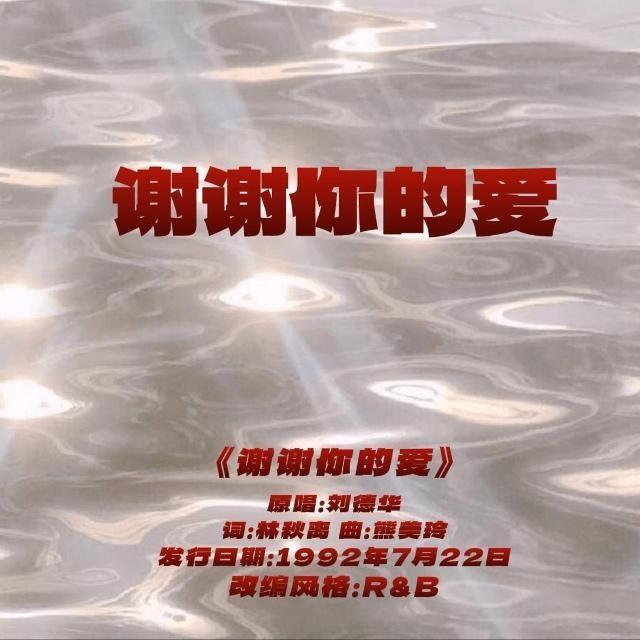 谢谢你的爱封面