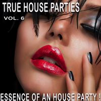 True House Parties:, Vol. 6