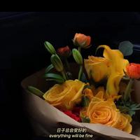 她资料,她最新歌曲,她MV视频,她音乐专辑,她好听的歌